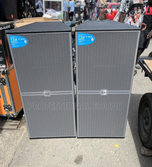 Plywood Evp Fullrange Speaker · Photo 3