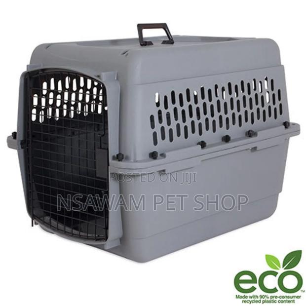 Plastic Travel Crate · Photo 2