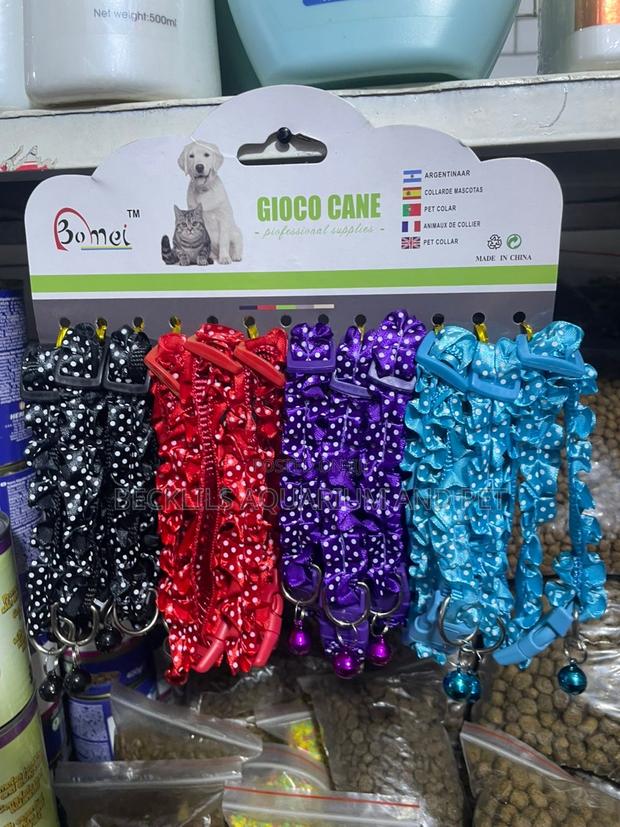 Classy Dog Colors · Photo 1
