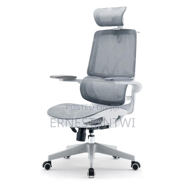 Sihoo Ergonomic Mesh Office Chair From Uk · Photo 1