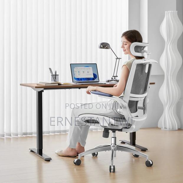 Sihoo Ergonomic Mesh Office Chair From Uk · Photo 2