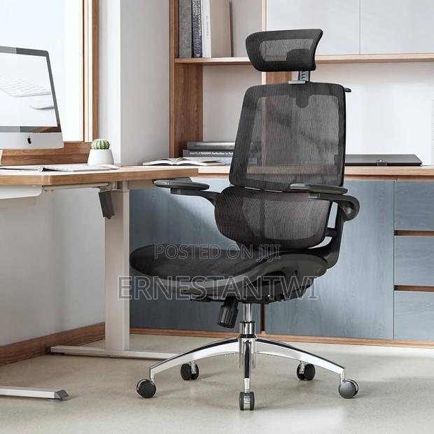 Sihoo Ergonomic Mesh Office Chair From Uk · Photo 3