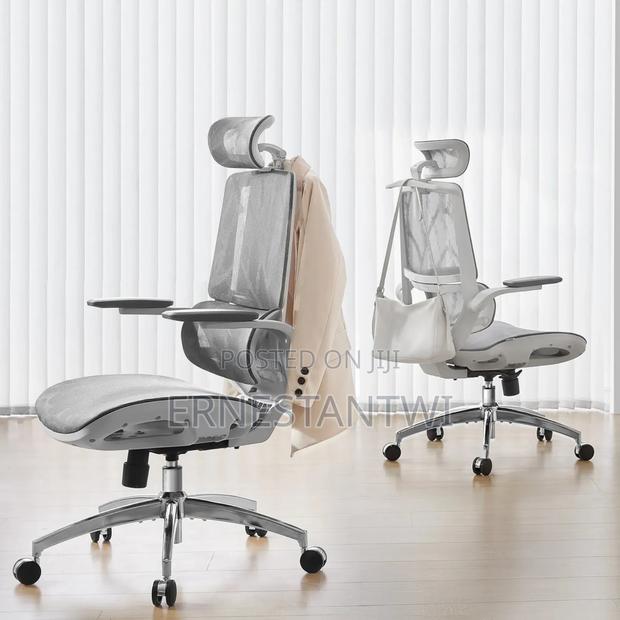 Sihoo Ergonomic Mesh Office Chair From Uk · Photo 4