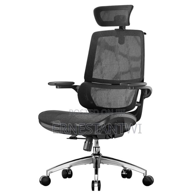 Sihoo Ergonomic Mesh Office Chair From Uk · Photo 5