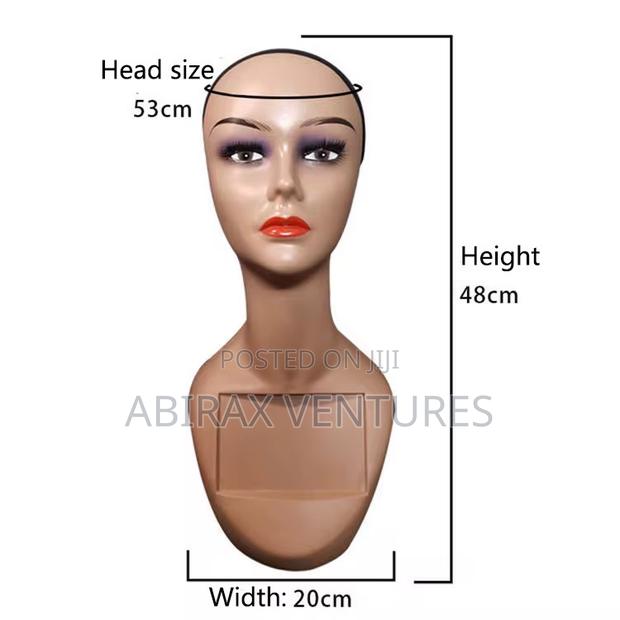 Long Neck Mannequin Head Available · Photo 1