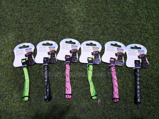 Dog Collars · Photo 1