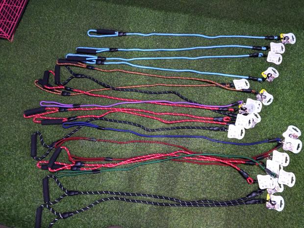 Leashes for Dogs · Photo 1