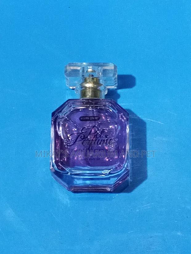 Perfume for Dogs · Photo 3