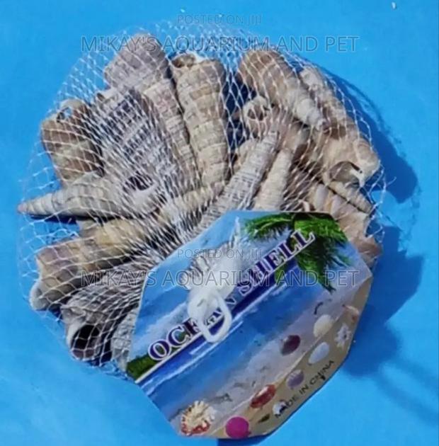 Shells For Aquarium · Photo 2