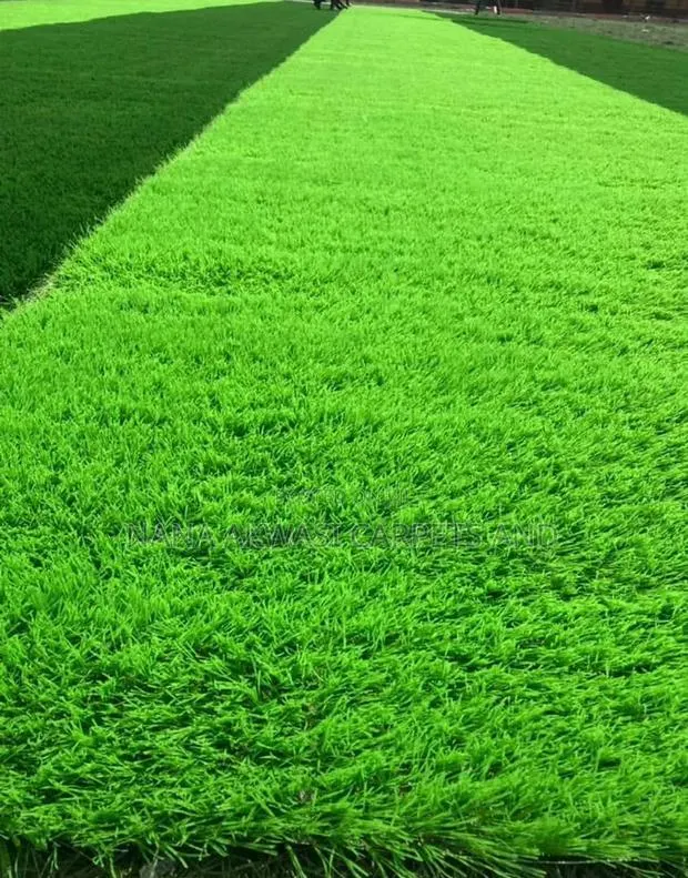 Green Grass Carpet (Astro Turf) · Photo 1