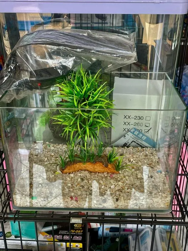 Queens Table Top Aquarium · Photo 1