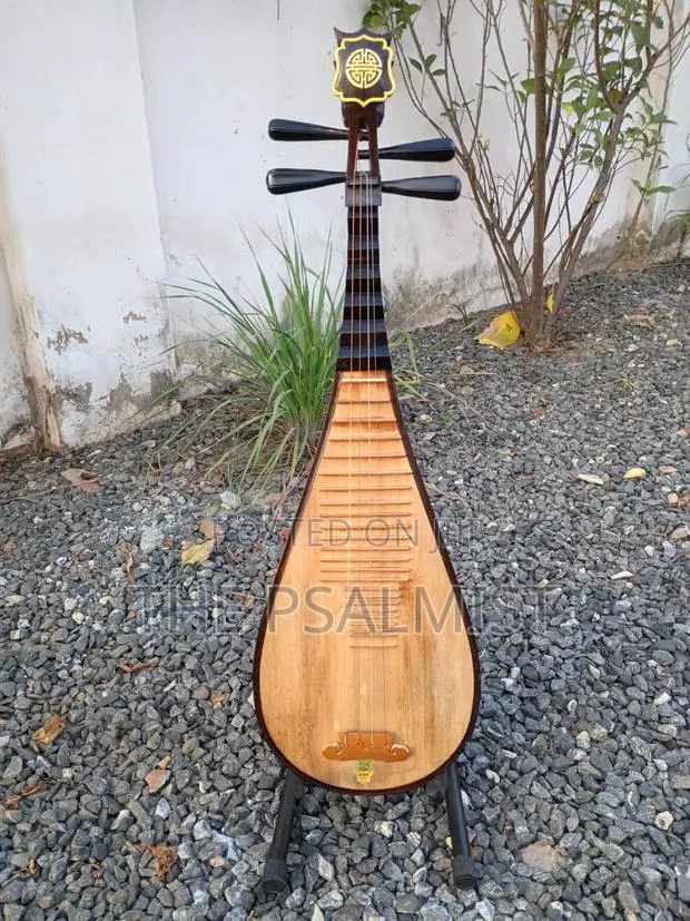 Pipa Chinese Traduitional Musical Instruments · Photo 1