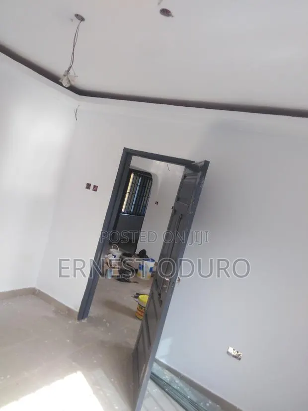 Professional Painter · Photo 1
