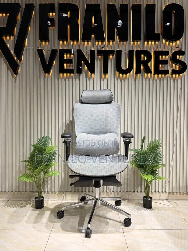 3d Ergonomic Office Chair · Photo 1