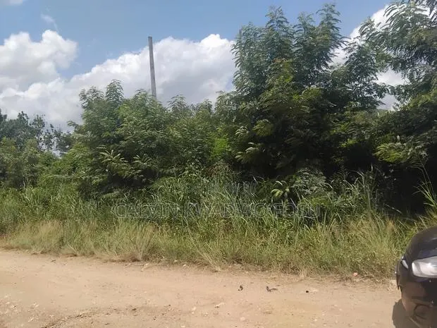 60 to 100 Acres Farmland at Obosono · Photo 1