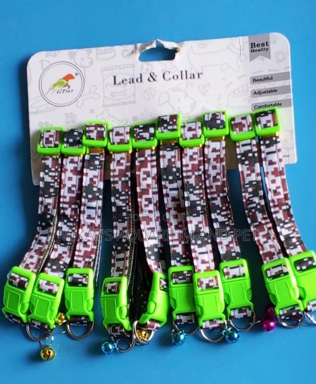 Collar for Dogs · Photo 1