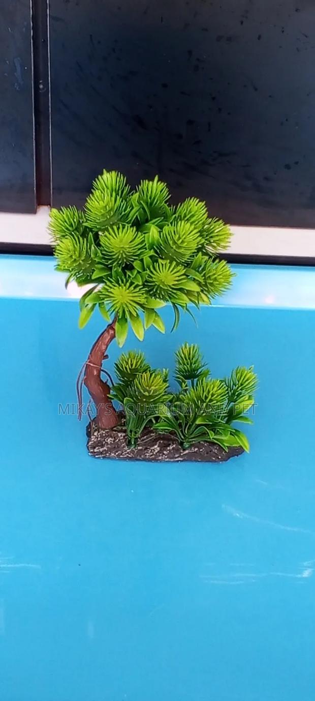 Plant for Aquarium · Photo 1