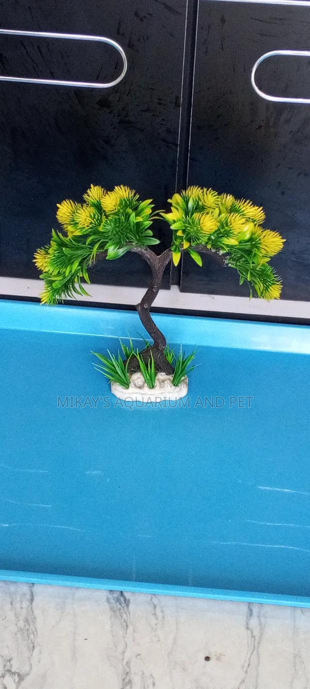 Aquarium Plant · Photo 1