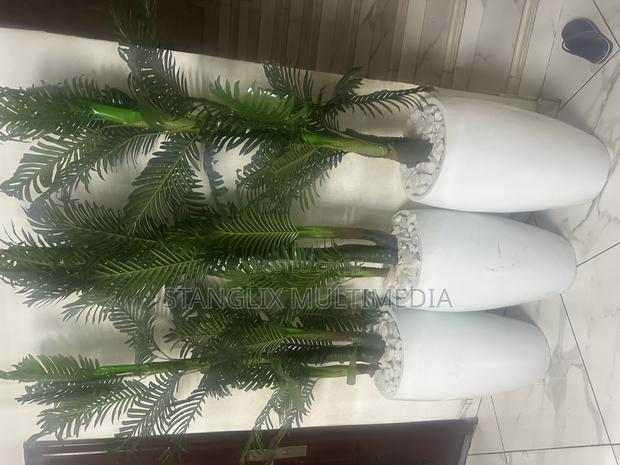 Flower Pots · Photo 2