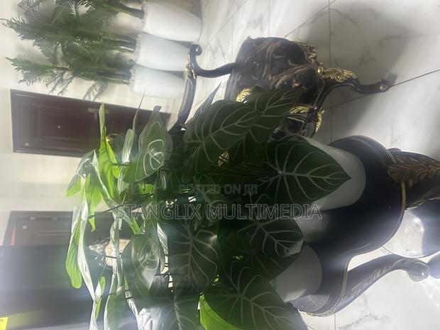 Flower Pots · Photo 4