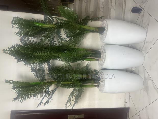 Flower Pots · Photo 1