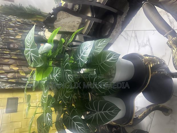 Flower Pots · Photo 3