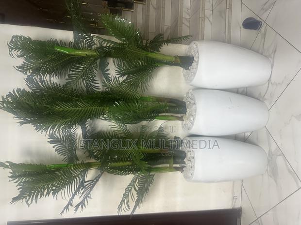 Flower Pots · Photo 5