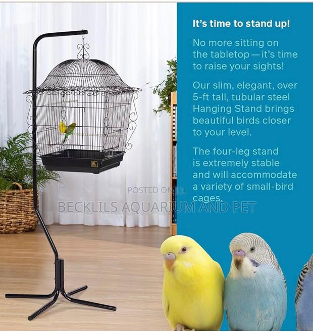 Quality Metal Bird Hanger Stand · Photo 2