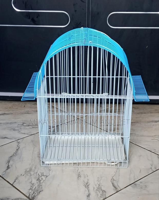 Cute Bird Cage · Photo 1
