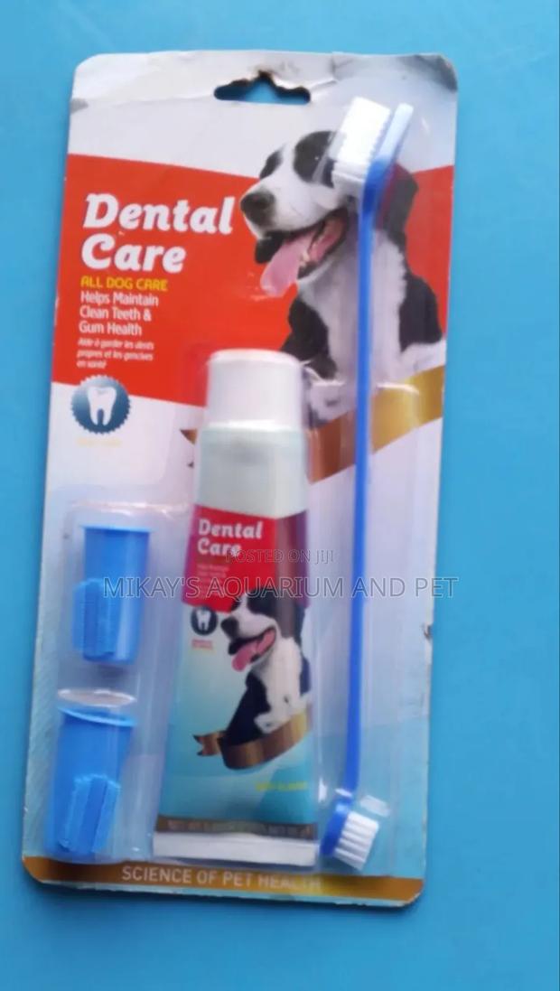 Dental Care for Dogs · Photo 1