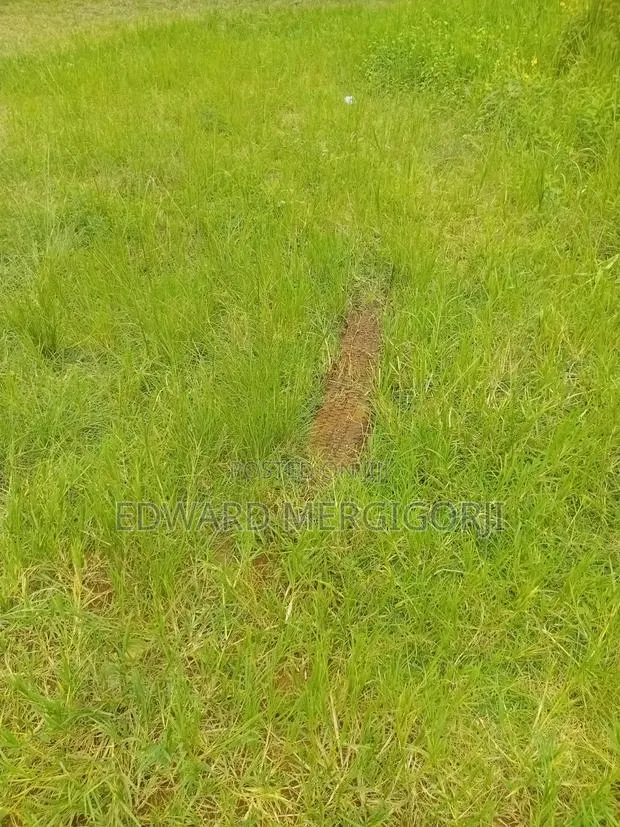 Full Plot of Land at Mfensi · Photo 1