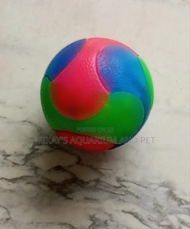 Dog Play Toys · Photo 1