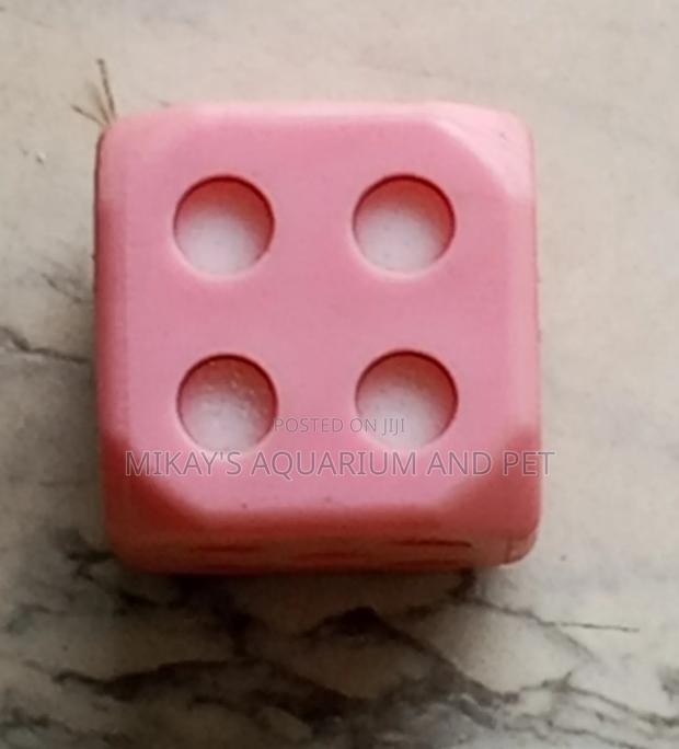 Dog Play Toys · Photo 2