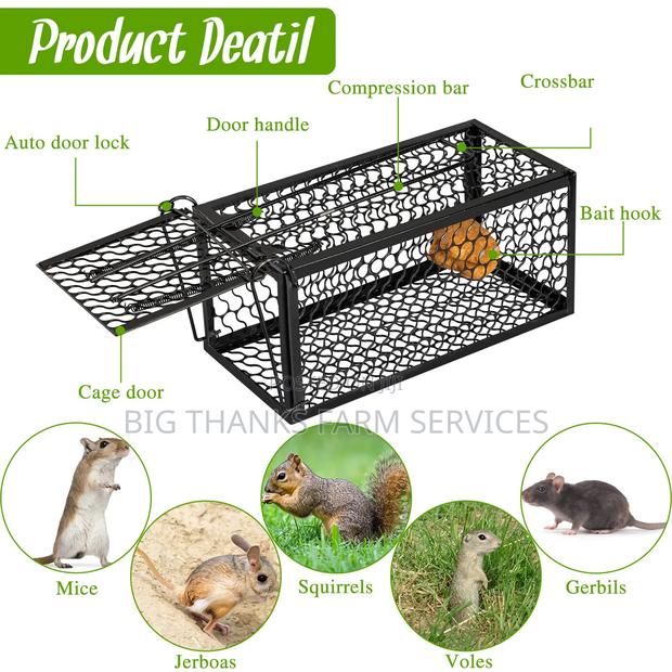 Rodents Traps, Mouse And More · Photo 1