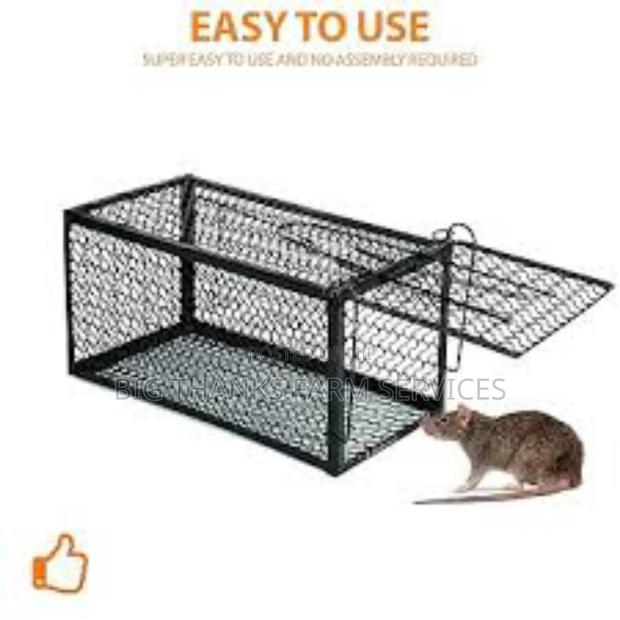 Mouse, Rats Traps · Photo 1