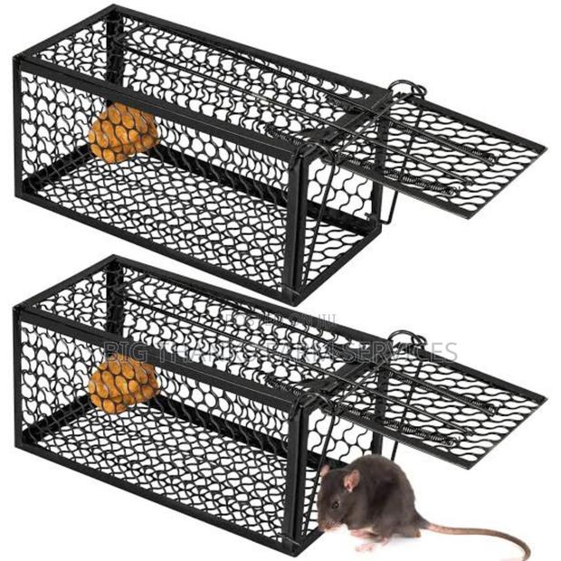 Rodents,Mouse, Traps Of Different Sizes · Photo 1