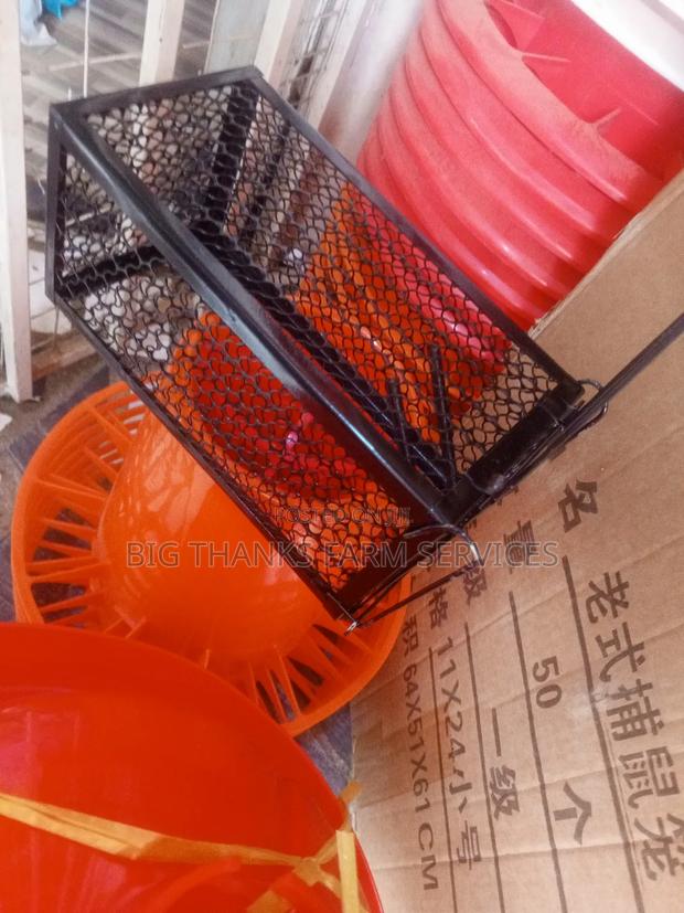 Cage Type Rats And Mouse Traps, · Photo 2