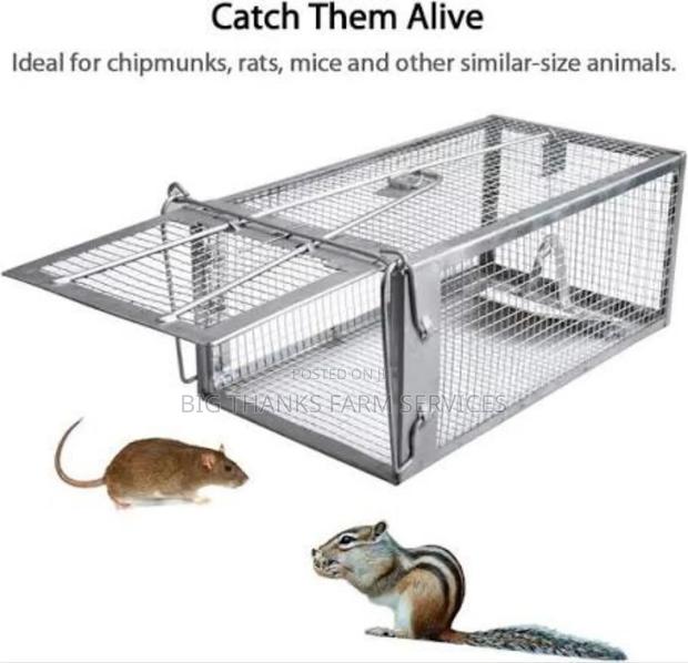 Rosent(Mouse,Lizard,Rats Ets) Traps