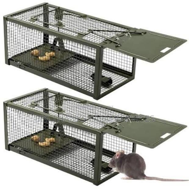Rodents(Mouse,Rats,Lizard Etc) Traps · Photo 1