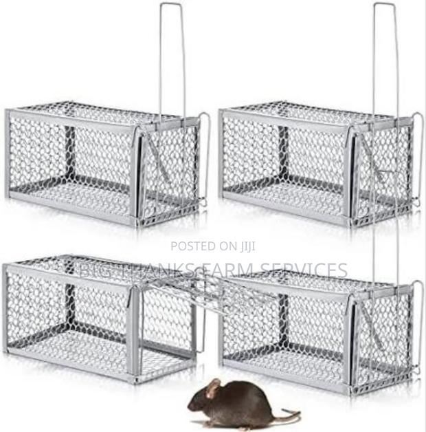 Rodents(Mouse,Rats,Lizard Etc) Traps · Photo 2