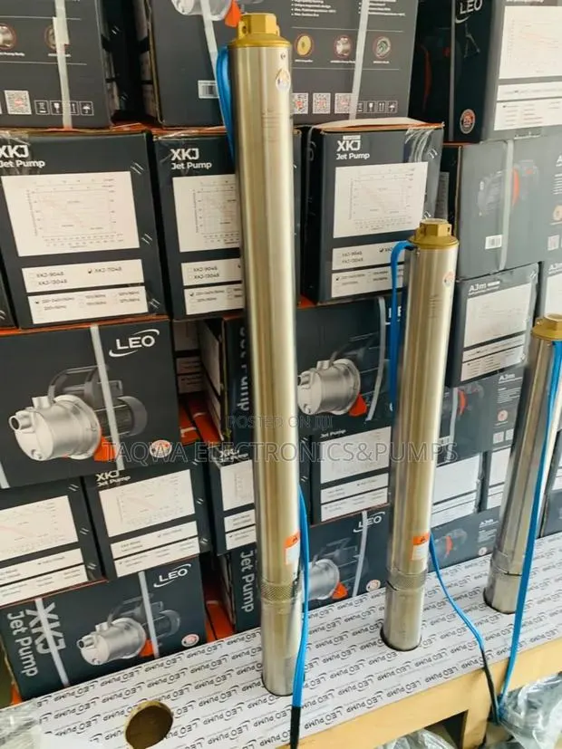 Leo 4xrm3/22-1.5 Borehole 2hp Pump · Photo 1