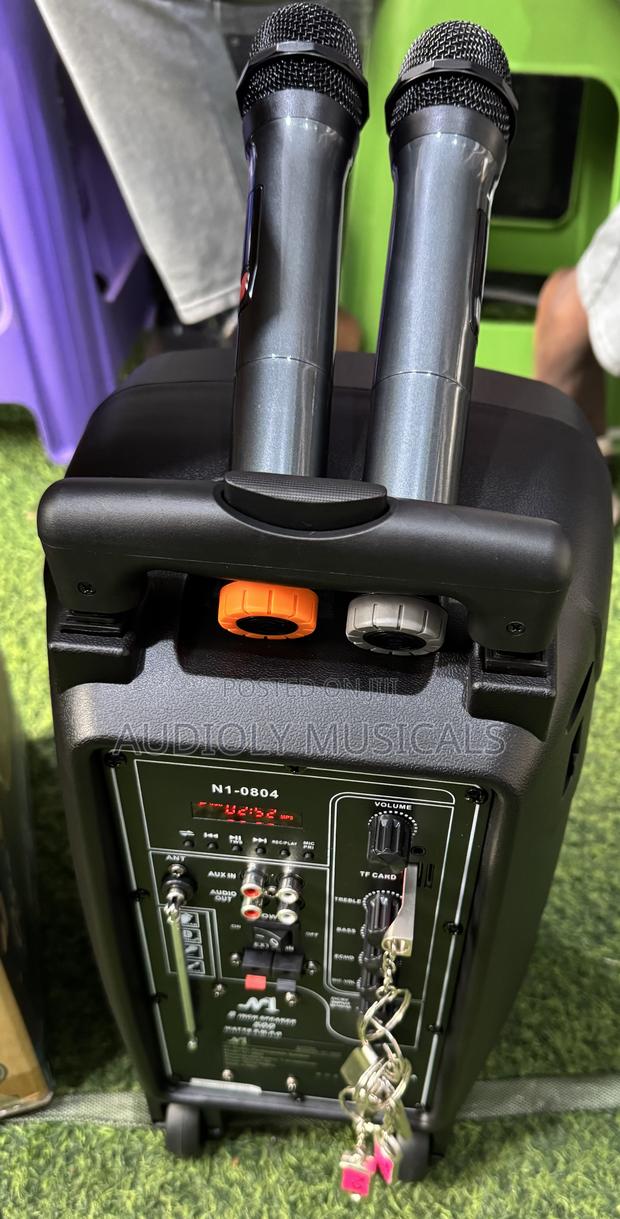 No1 8inches Rechargeable Speaker With Two Microphones · Photo 1