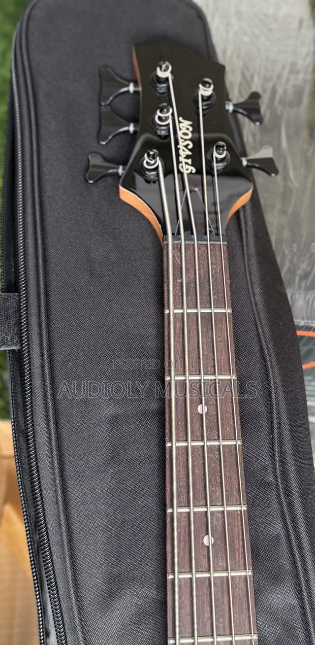 Free Guitar Bag With Gibson Active Bass Guitar · Photo 2