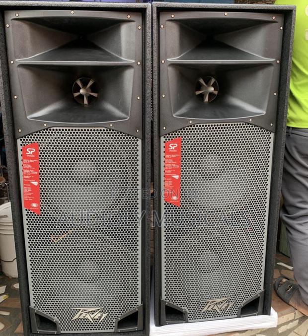 Spider/Peavey Full Range Speaker (Pair) · Photo 1