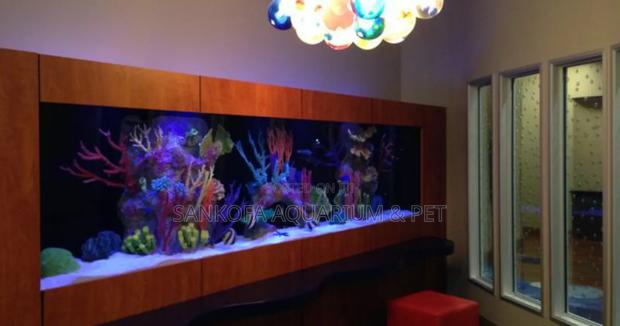 We Customize Best Wall Aquarium · Photo 1