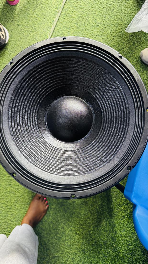 Jac 15 Inches Naked Speaker Double Magnet (2000 Watt) · Photo 5