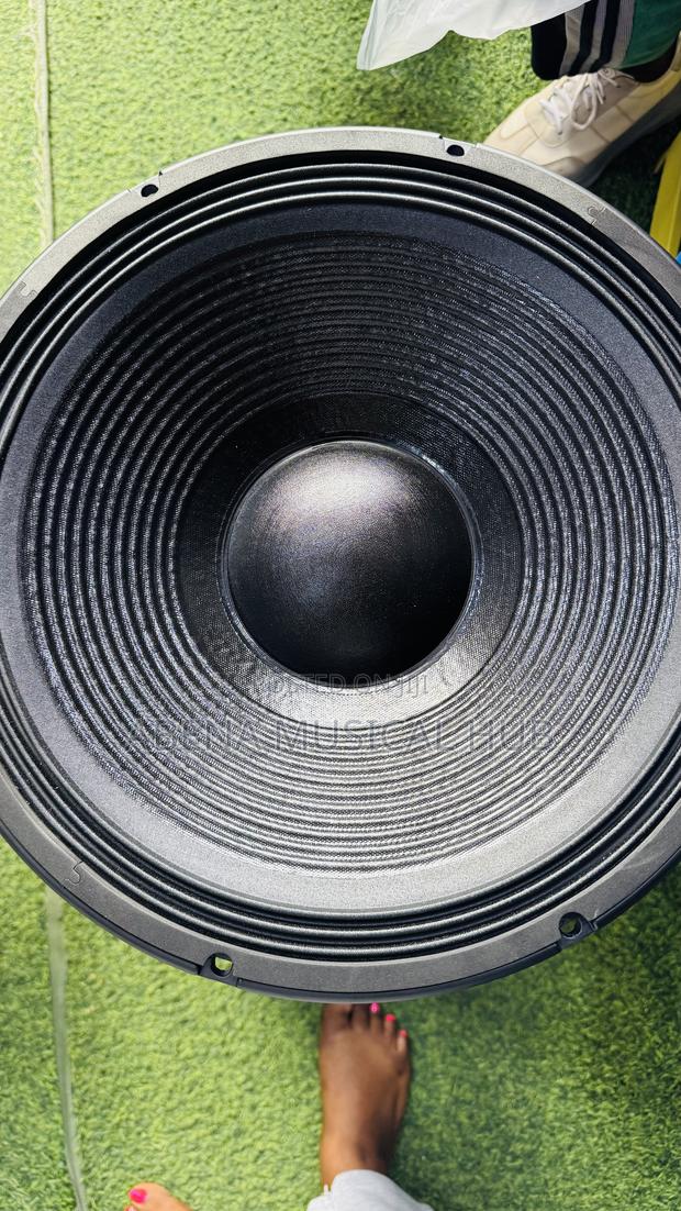 Jac 15 Inches Naked Speaker Double Magnet (2000 Watt) · Photo 4
