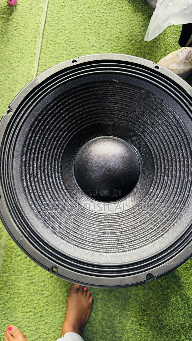 Jac 15 Inches Naked Speaker Double Magnet (2000 Watt) · Photo 7