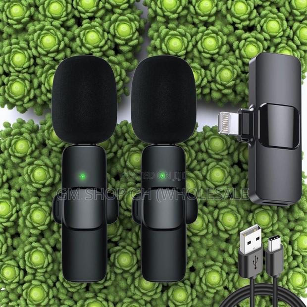 Wireless Microphone 2 in 1 Microphone (44000) · Photo 1