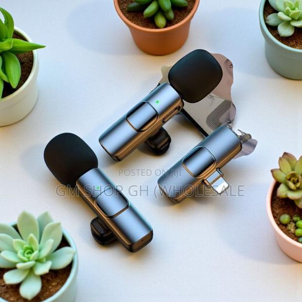 Wireless Microphone 2 in 1 Microphone (44000) · Photo 2